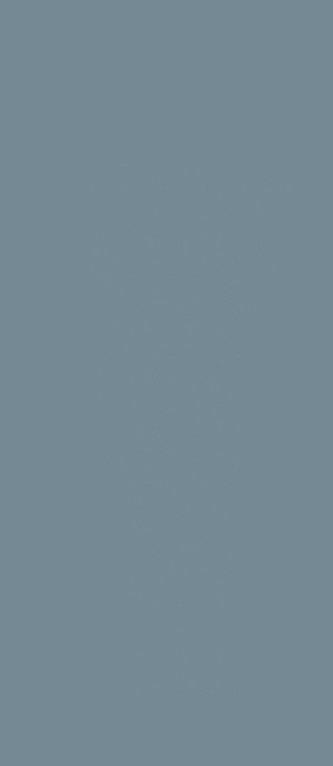 COLORTECH  BLU AVIO_12D