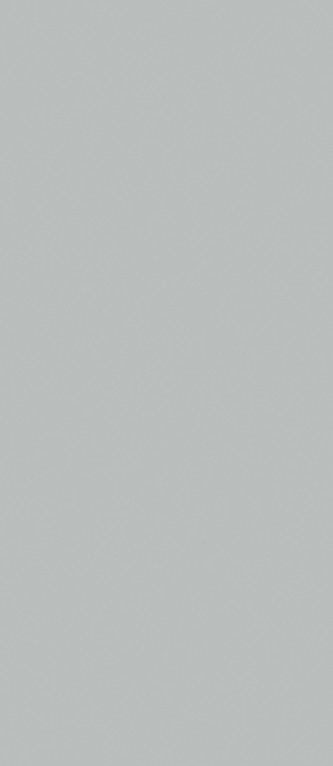 COLORTECH  GRIGIO EFESO_12E